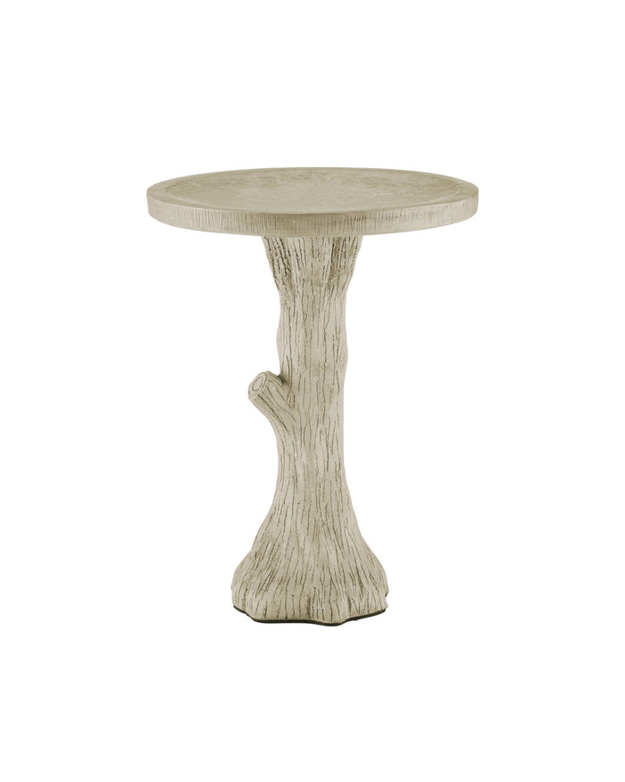 Currey and Company - 2200-0044 - Bird Bath - Faux Bois Collection - Portland