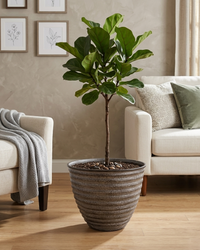Design Shop Cappuccino Woodsdale Planter 14"