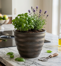 Design Shop Cappuccino Ironstone Woodsdale Planter 10"