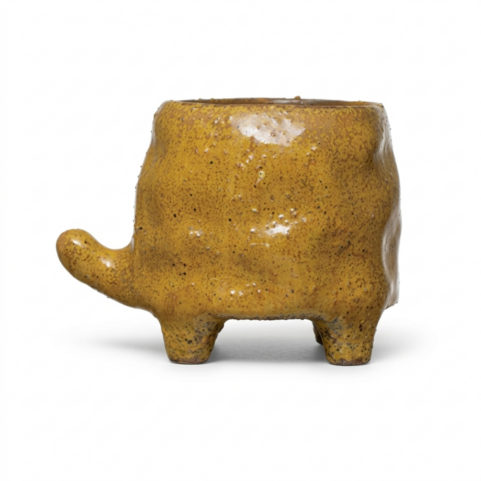 Design Shop Stoneware Turtle Planter 3.5"