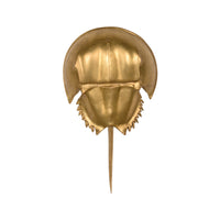 Chelsea House Horseshoe Crab Sconce - Gold