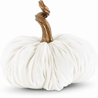 Design Shop 10" White Pumpkin with Gold Stem