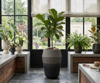 Design Shop Black Jeva Planter 13"