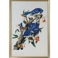 Chelsea House Audubon Blue Jay I