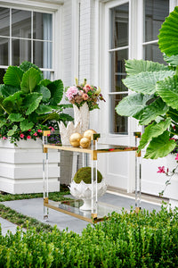 Chelsea House Acrylic Bar Cart - Brass