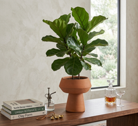 Baja Terracotta Vase 7.75"