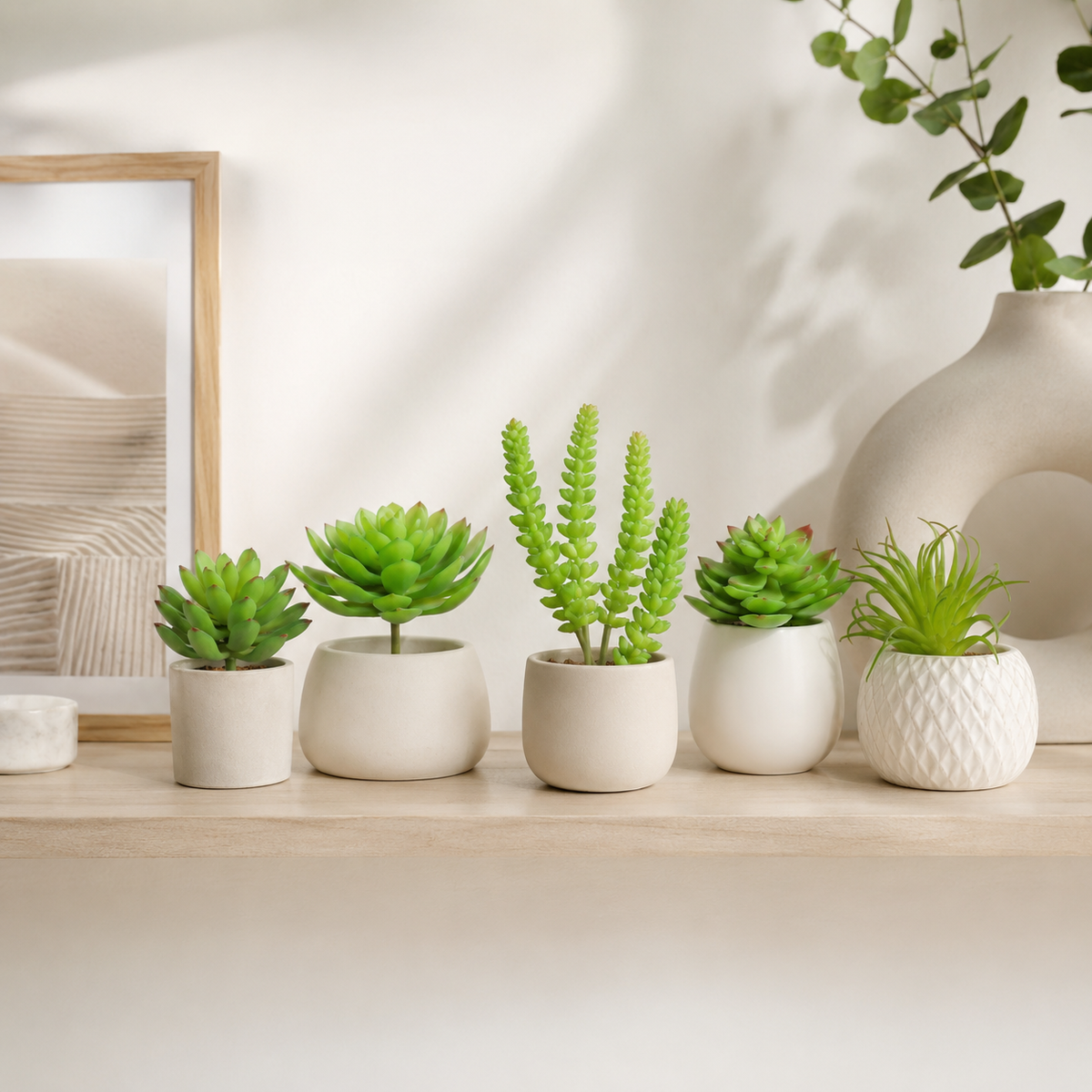Design Shop Mixed Succulents Set of 6- B