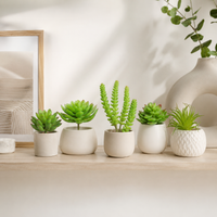 Design Shop Mixed Succulents Set of 6- B