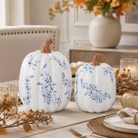Design Shop White with Blue Floral Ceramic Pumpkins Set by, Set of 2