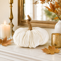 Design Shop 10" White Pumpkin with Gold Stem