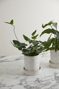 Design Shop Heartfelt Collection
