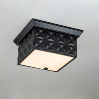 Lucas + McKearn - FM1302MB-14 - Four Light Flush Mount - Alpha - Matte Black