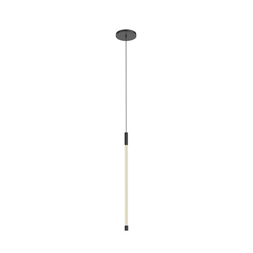 Pendant light fixture with black finish on a white background