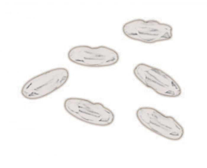 Craftmade - PCC-WW - Pull Chain Connector - Pull Chain Connectors - White