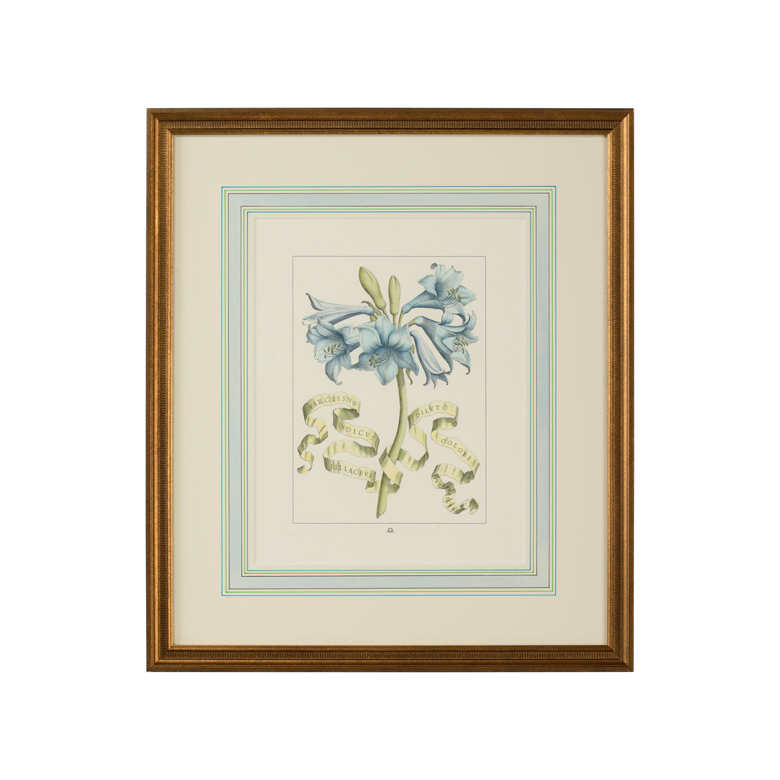 Chelsea House Bl Floral W/Ribbon-C