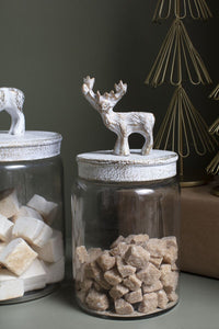 Design Shop White Renton Canister, 4.5" X 9.5".