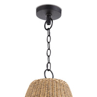 Regina Andrew - 17-1029NAT - One Light Pendant - Summer - Natural
