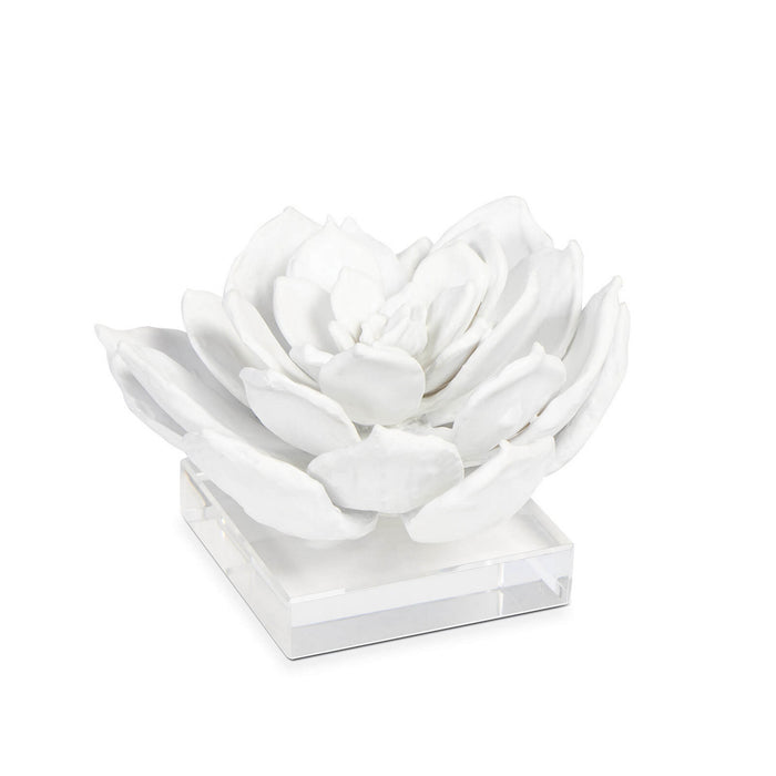 Regina Andrew Sculpture from the Succulent collection in White finish