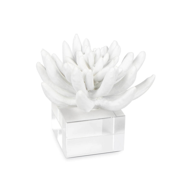 Regina Andrew Sculpture from the Succulent collection in White finish