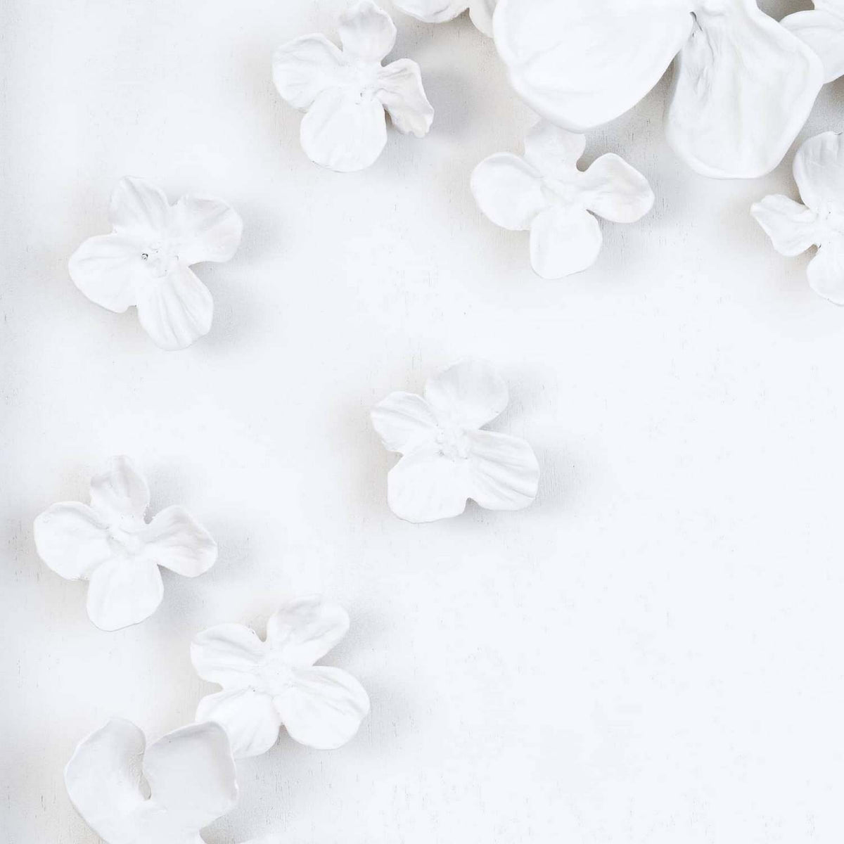 Regina Andrew - 21-1154 - Wall Art - Dogwood Bouquet I - White