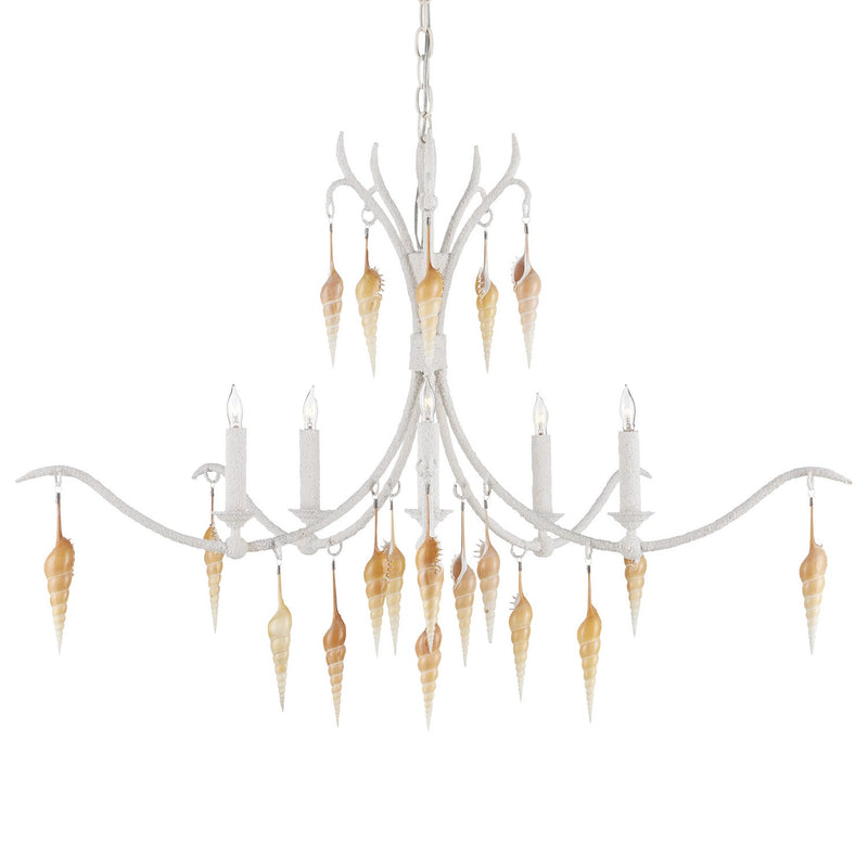 Currey and Company Five Light Chandelier from the Arcachon collection in Crushed Shell/Natural/Vanilla finish