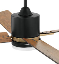 Craftmade - TEA52FBSB4 - 52" Ceiling Fan - Teana - Flat Black/Satin Brass