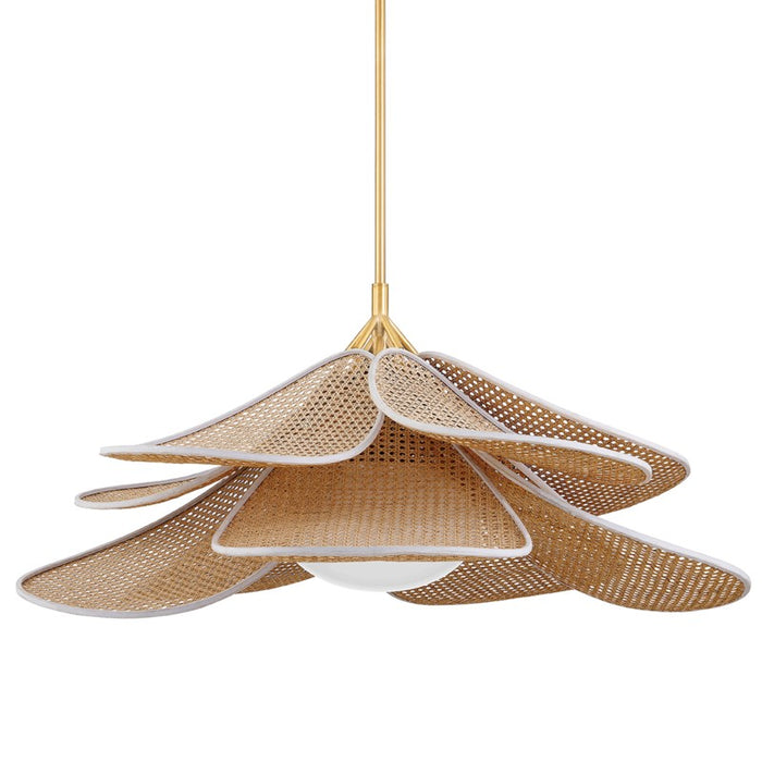 Hudson Valley One Light Pendant from the Florina collection in Aged Brass finish