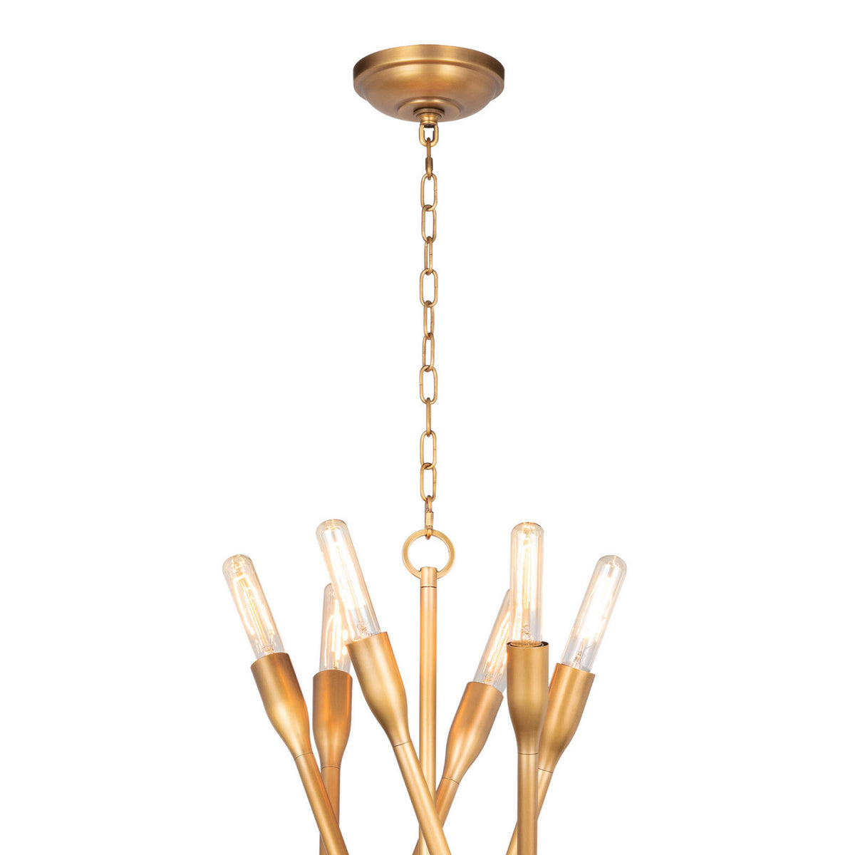 Regina Andrew - 16-1425NB - 12 Light Chandelier - Cobra - Natural Brass