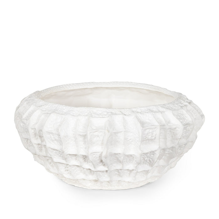 Regina Andrew Bowl from the Caspian collection in White finish