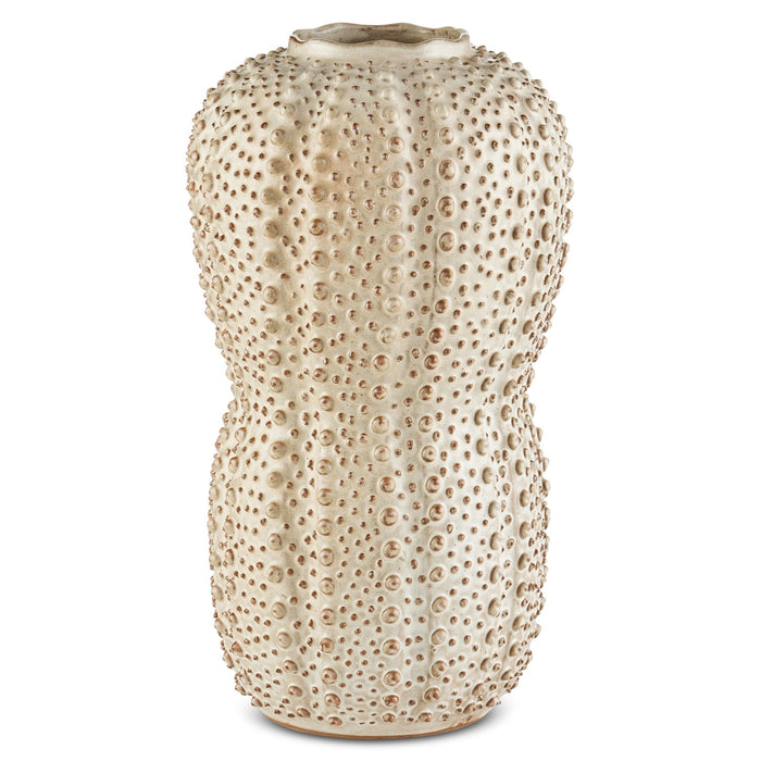 Currey and Company Vase from the Peanut collection in Ivory/Brown finish