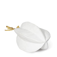 Regina Andrew - 20-1443 - Object - Starfruit - White