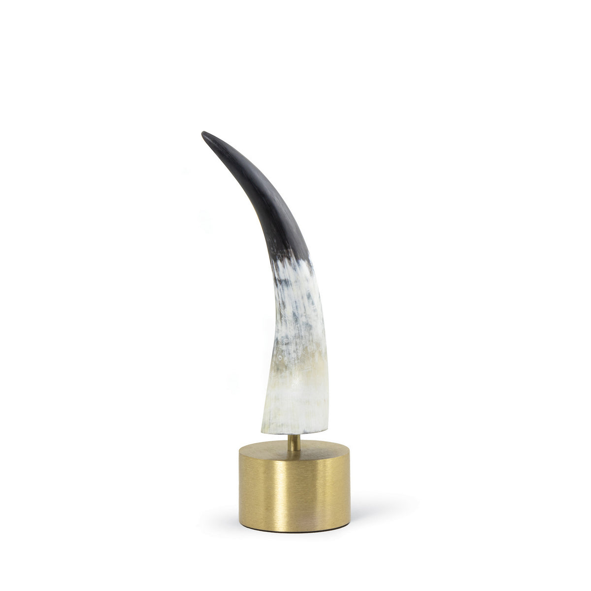Regina Andrew - 20-1546 - Horn - Daylon - Natural