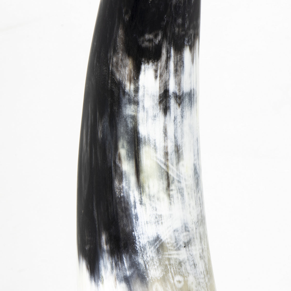 Regina Andrew - 20-1546 - Horn - Daylon - Natural