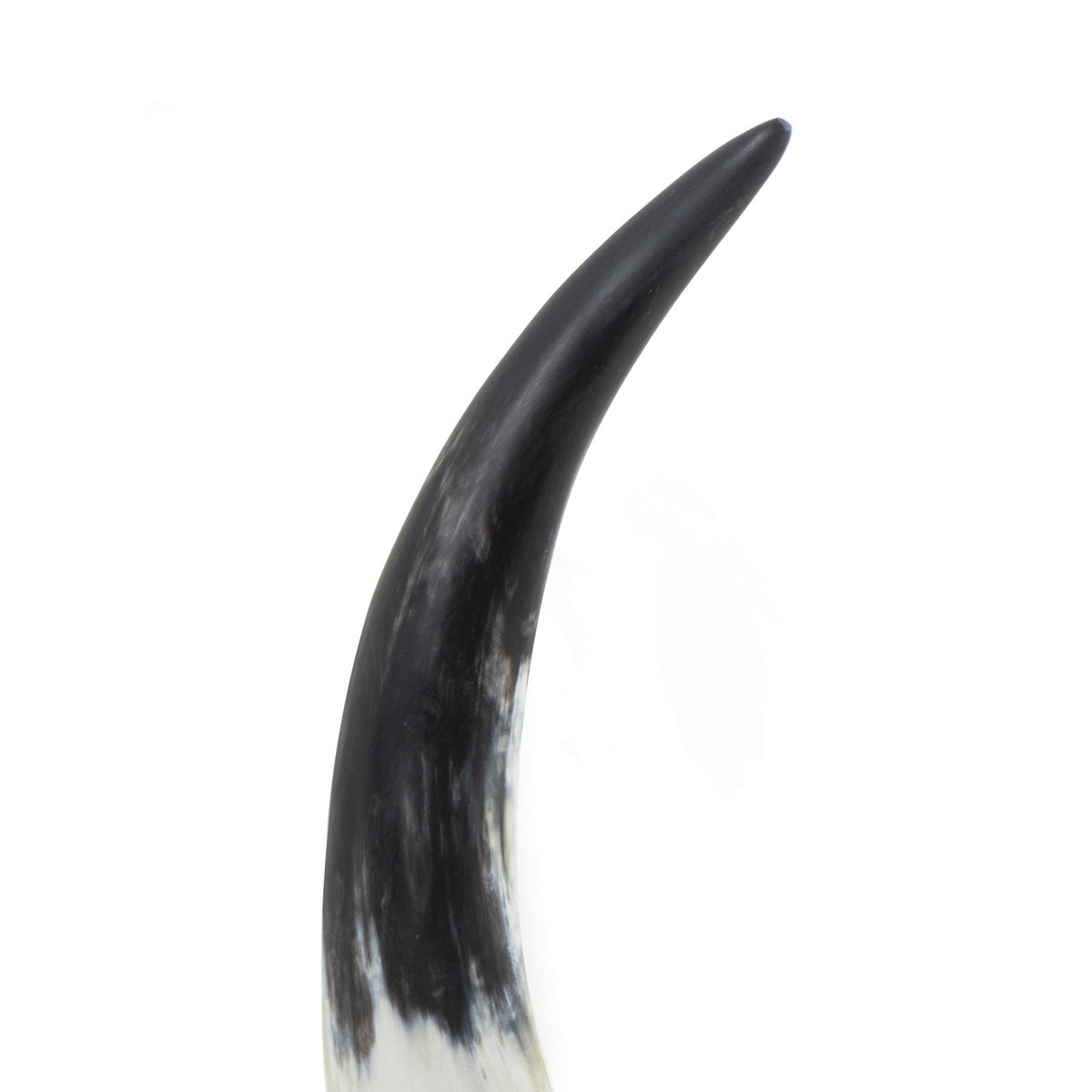 Regina Andrew - 20-1546 - Horn - Daylon - Natural