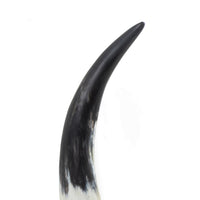 Regina Andrew - 20-1546 - Horn - Daylon - Natural