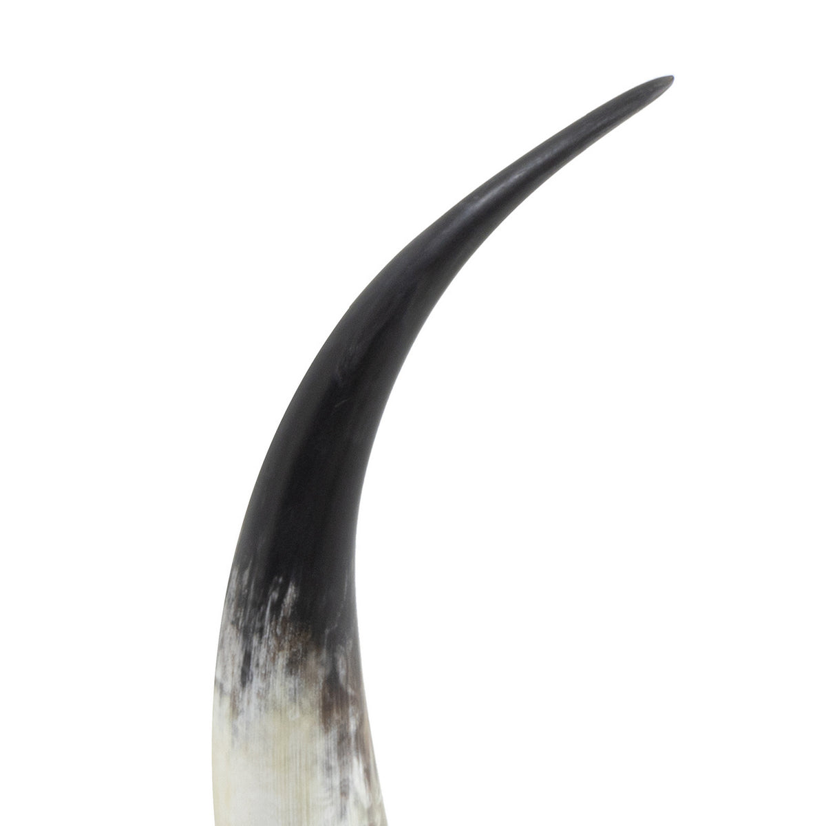 Regina Andrew - 20-1547 - Horn - Daylon - Natural
