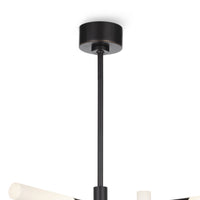 Regina Andrew - 16-1396ORB - Eight Light Chandelier - Cass - Oil Rubbed Bronze