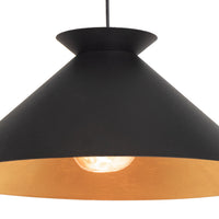 Regina Andrew - 16-1429BLK - One Light Pendant - Viggo - Blackened Steel