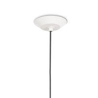 Regina Andrew - 16-1429WT - One Light Pendant - Viggo - White