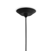Regina Andrew - 16-1430BLK - One Light Pendant - Viggo - Blackened Steel