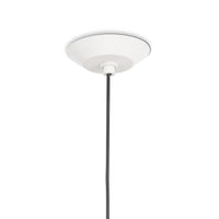 Regina Andrew - 16-1430WT - One Light Pendant - Viggo - White