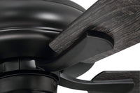 Craftmade - ECF114FB5-FBGW - 52" Ceiling Fan - Eos Frost 4 Light - Flat Black