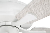Craftmade - ECF114W5-WWOK - 52" Ceiling Fan - Eos Frost 4 Light - White