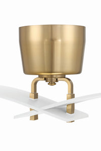 Craftmade - TRN52WSB2 - 52" Ceiling Fan - Tern - White/Satin Brass