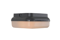 Craftmade - ZA6407-TB - Two Light Outdoor Flushmount - Resilience Lanterns - Textured Black
