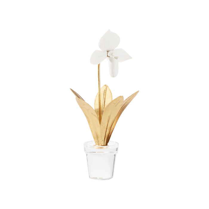 Decorative plant with white flower and gold leaves in a clear pot on a white background