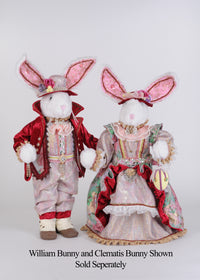 Karen Didion Clematis Bunny