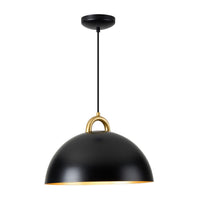 Artcraft - AC12001BB - One Light Pendant - Pantheon - Black, Rust Brass