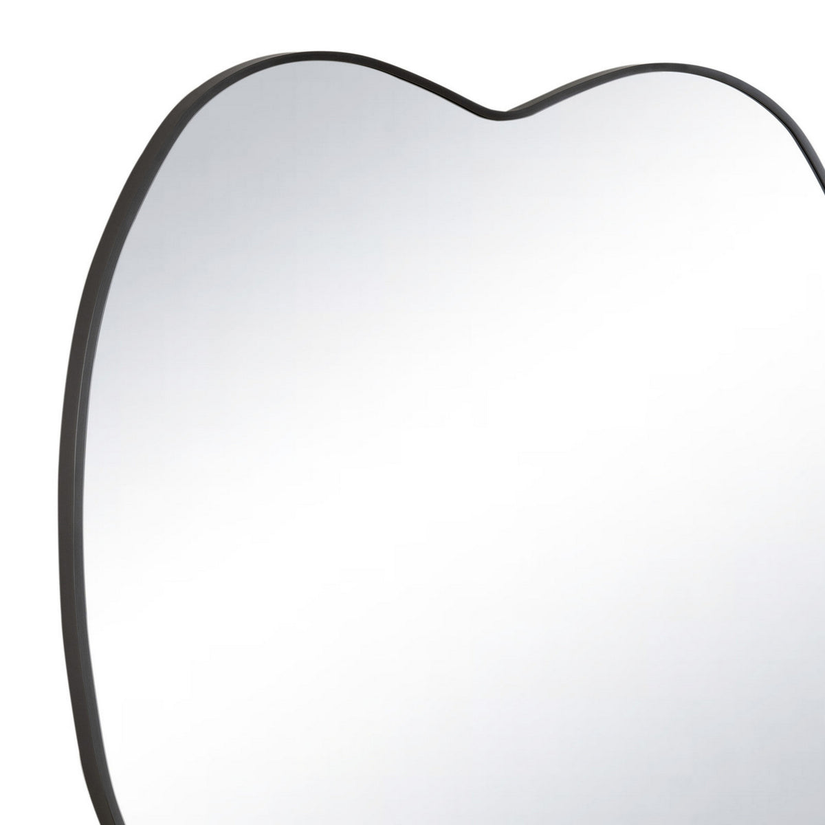 Regina Andrew - 21-1174STL - Mirror - Mela - Steel