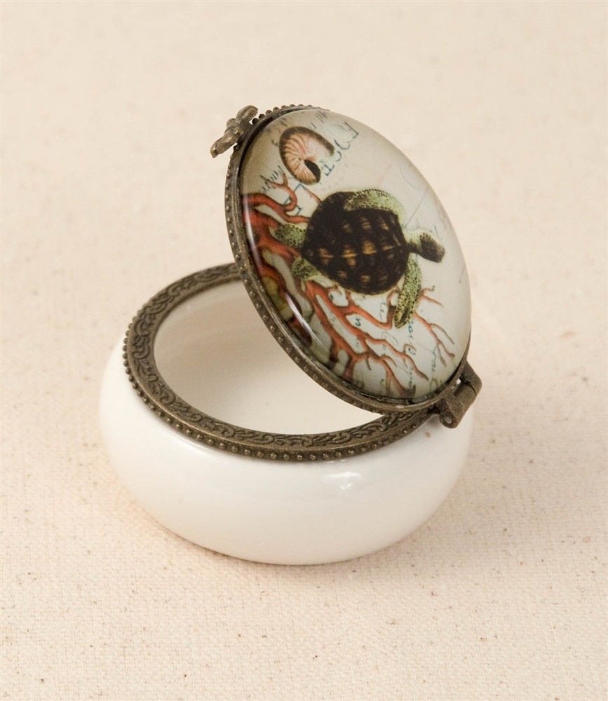 Design Shop Sea turtle Keepsake Box